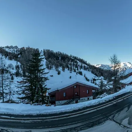 Soldanelle - Soldanelles N°412 Mae-5391 La Plagne-Tarentaise